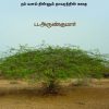 சீமைக்கருவேலம் நம் வளம் தின்னும் தாவரத்தின் கதை-0