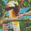 வண்ணநதி சந்தா/ Vannanathi Subscription -0