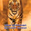 ஒன்பது ஆட்தின்னிகளும் ஒரு போக்கிரி யானையும்-0