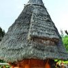 This book, "Malaivasam", reveals from field study that many of the advanced characteristics of tribal communities are declining. 