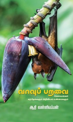(vavoo paravai)From bats have no vision, and all bats seek prey through an ultrasonic wave, to vampire bats drinking blood in humans
